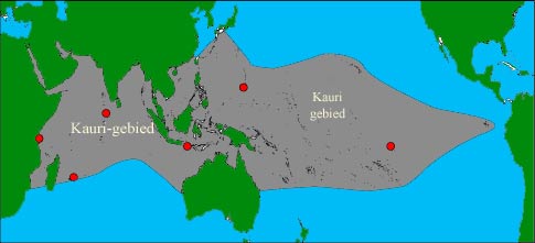 Kaartje laat zien waar kauri's voorkomen