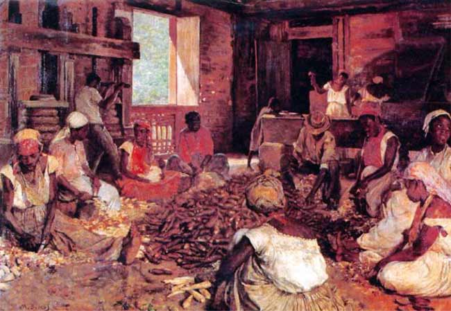 Slaven op een plantage maken maniok-wortels schoon