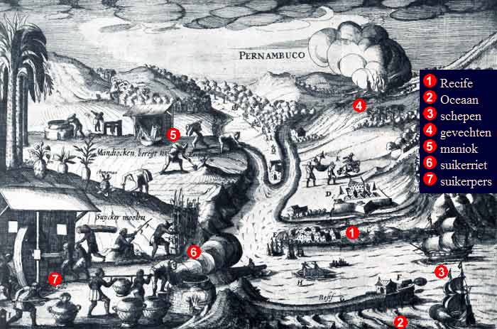 Pernambuco. Klik op de afbeelding om het venster te sluiten